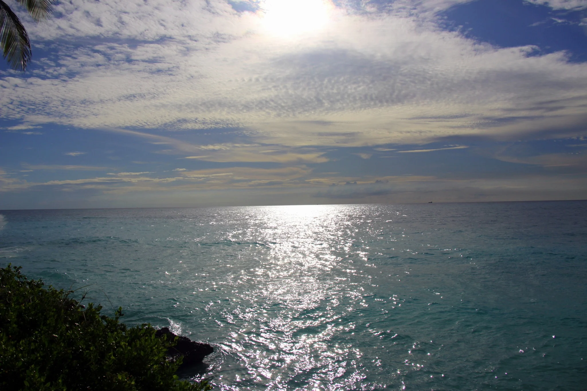 Foto do album Bonaire